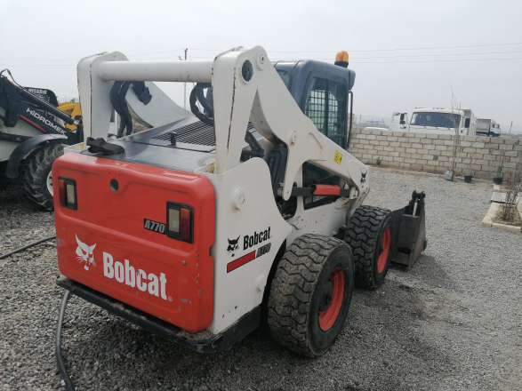 Bobcat Bobcat