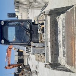 JCB 225